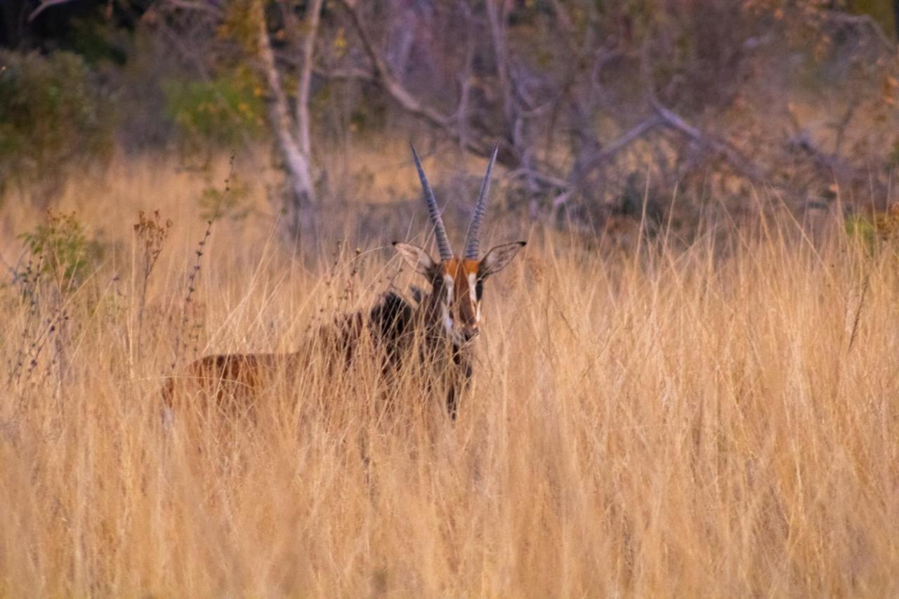Fumani Game Lodge Modimolle Bagian luar foto