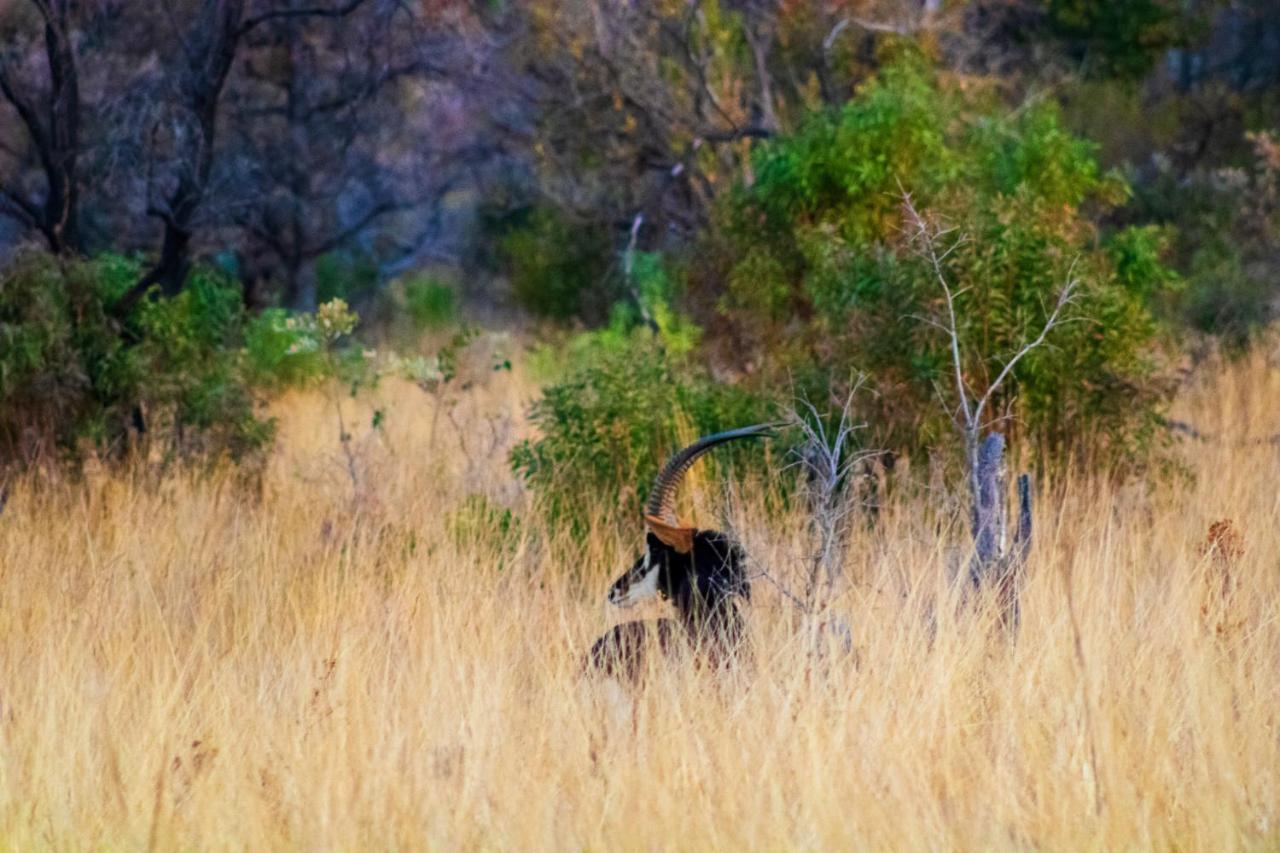 Fumani Game Lodge Modimolle Bagian luar foto